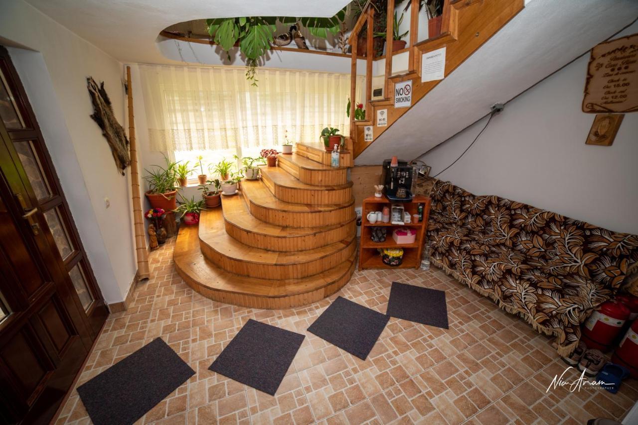 Hotel Casa Binu Arieşeni Esterno foto