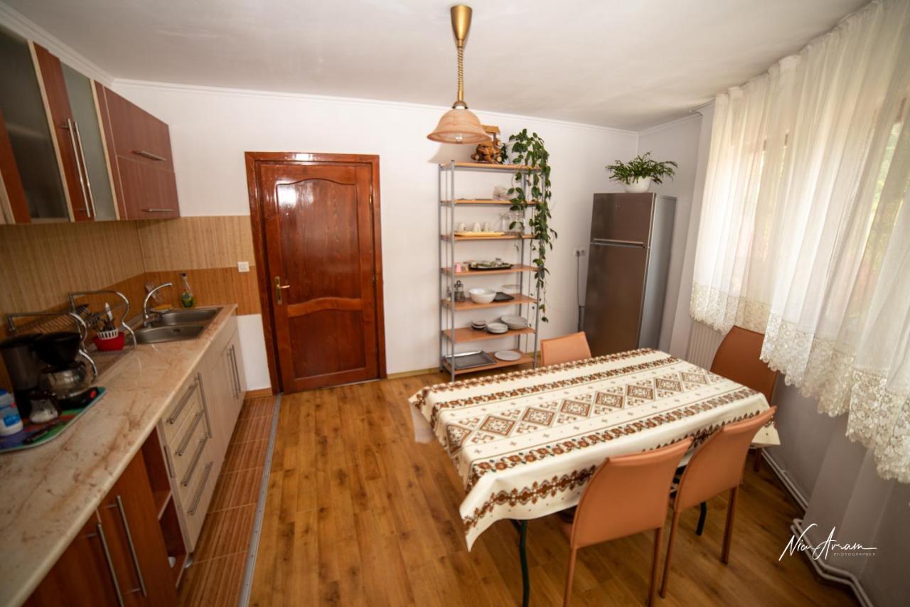 Hotel Casa Binu Arieşeni Esterno foto